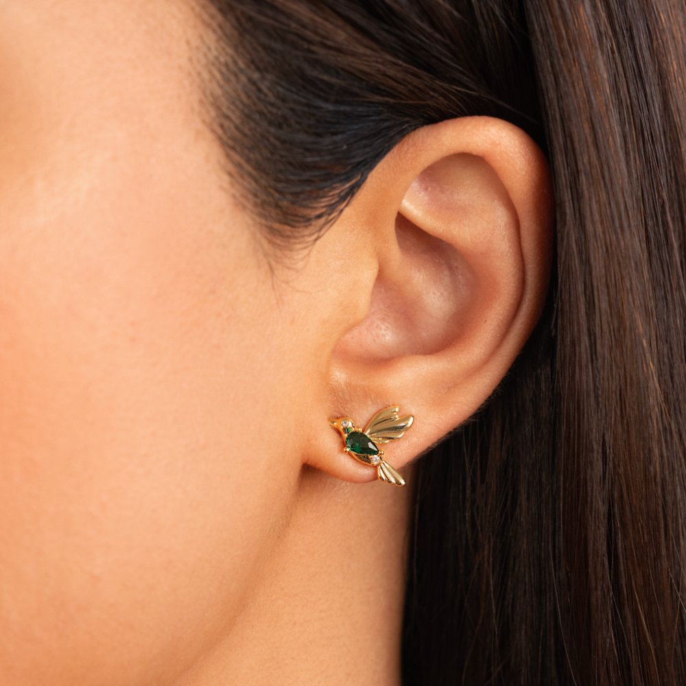 Aros con Colibrí